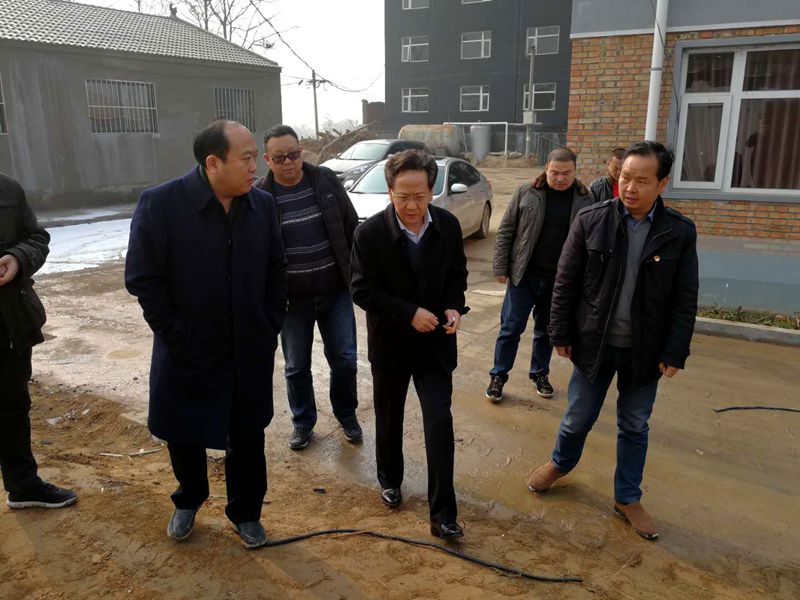 偃师区人民政府