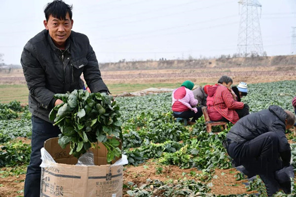 微信图片_20190124155112_副本_副本.jpg