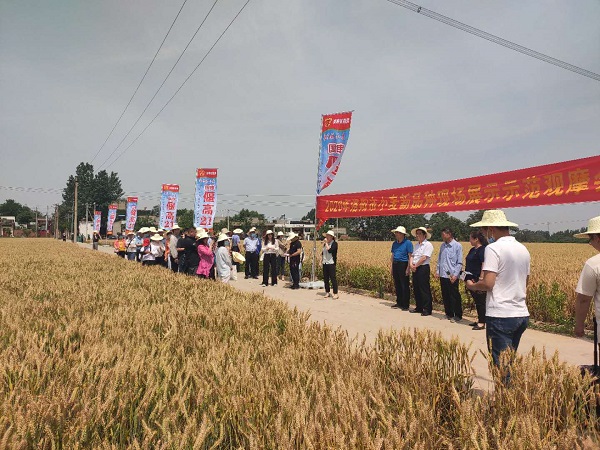 洛阳市各区人口_洛阳市内各区分布图(3)