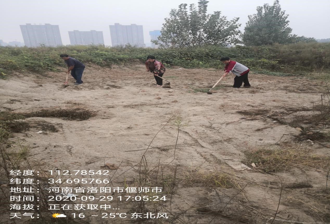 1605627308666888.jpg