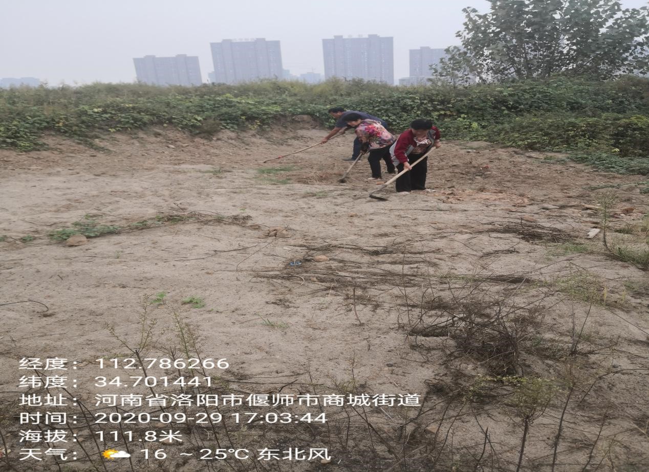1605627385190308.jpg