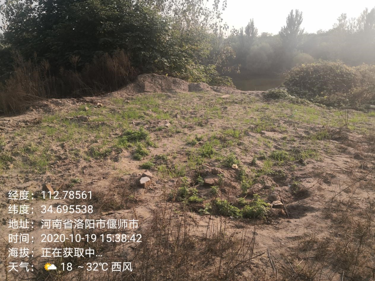 1605627503433878.jpg