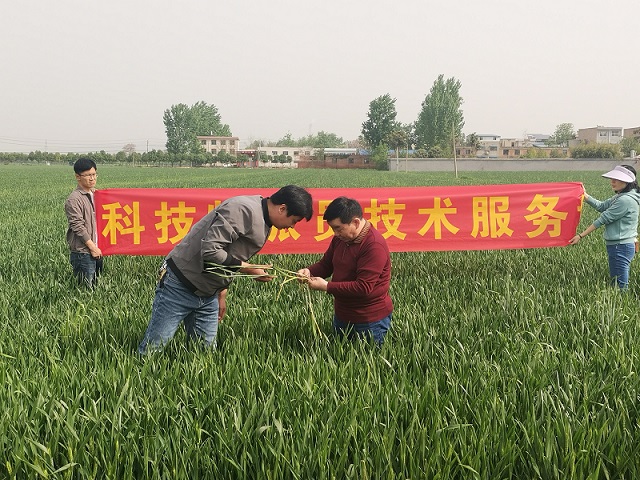 图片4.jpg