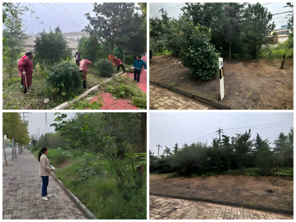 1761548666503933.png 666(2).png