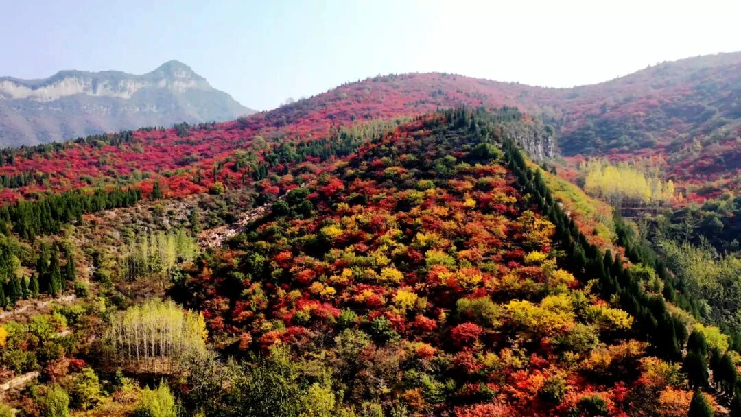 1761622128836409.jpg 640 (2).jpg