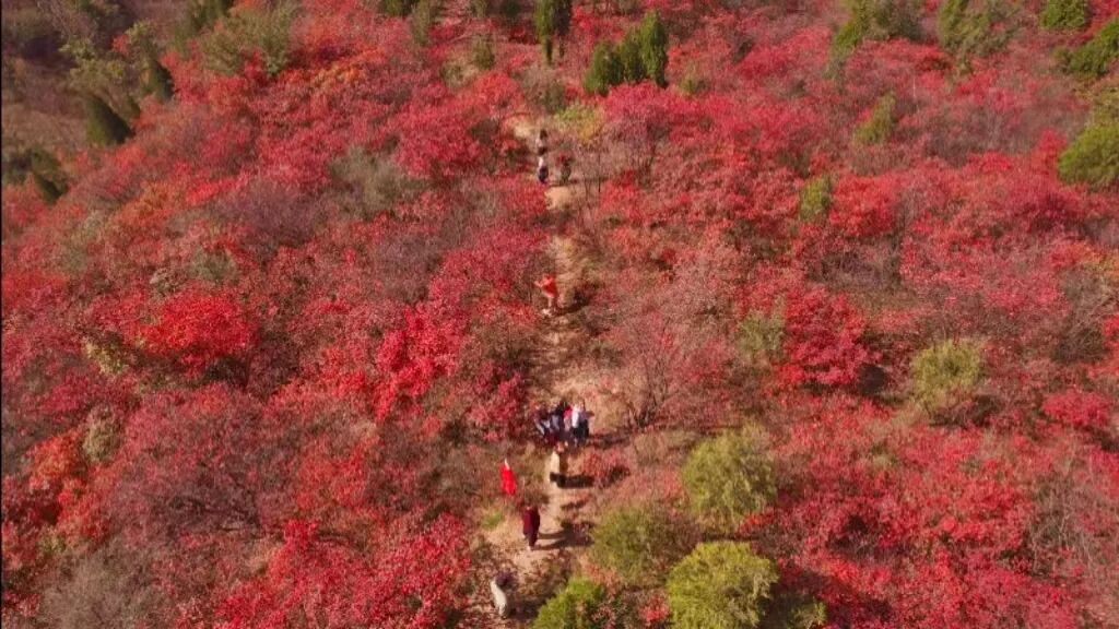 1761622154926806.jpg 640 (3).jpg