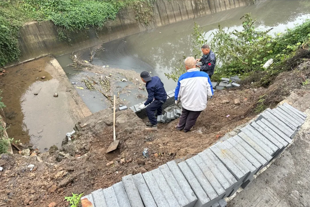 1761873526947752.png 图片333.png