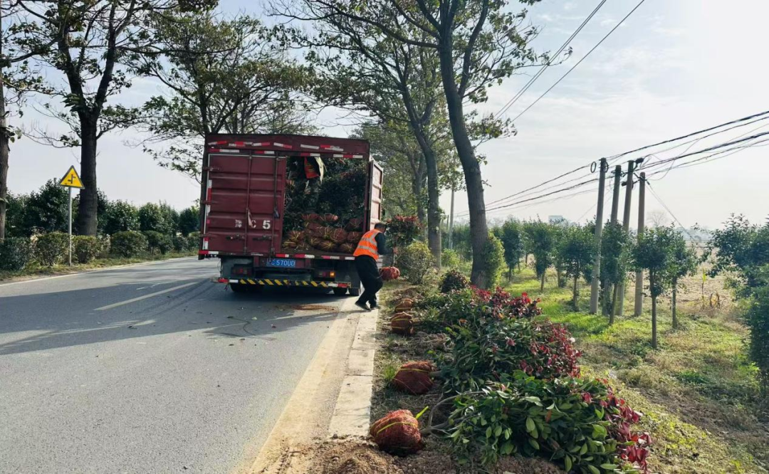 1763341918313613.png 640.png