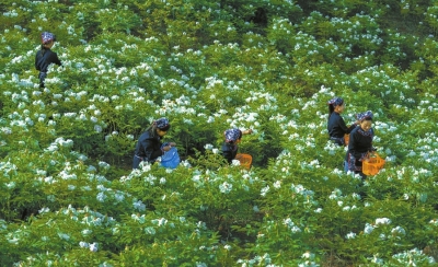 p38_b.jpg