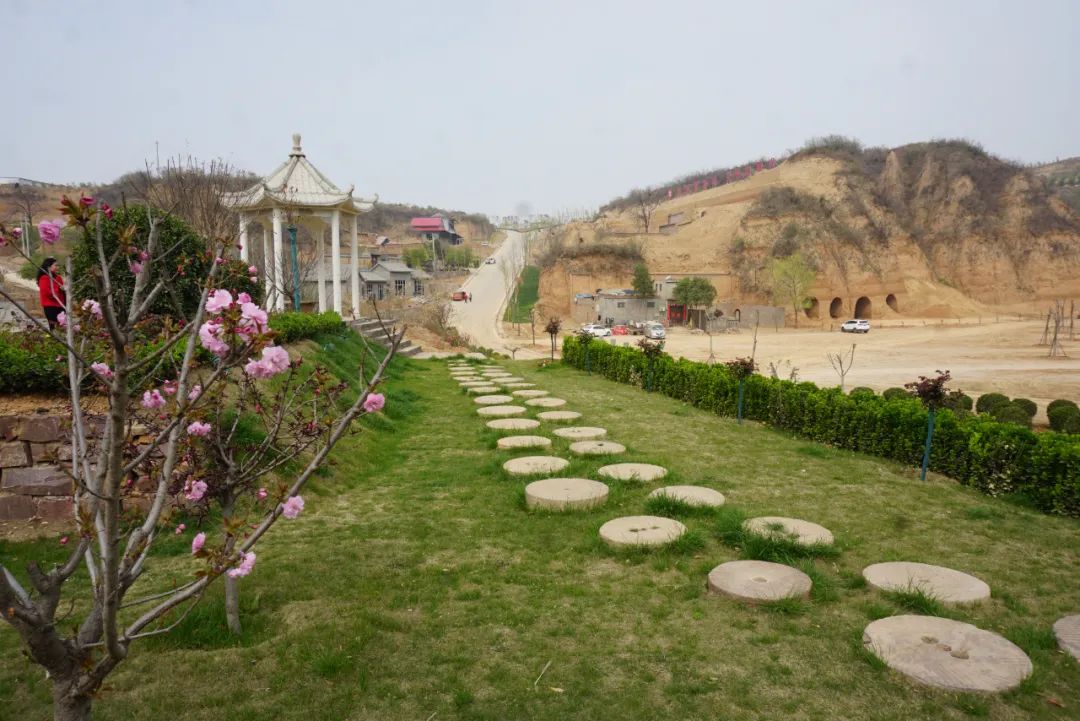 微信图片_20230406101549.jpg