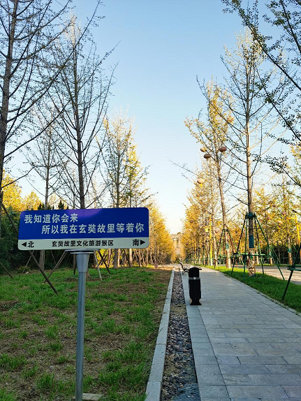 图片16.png