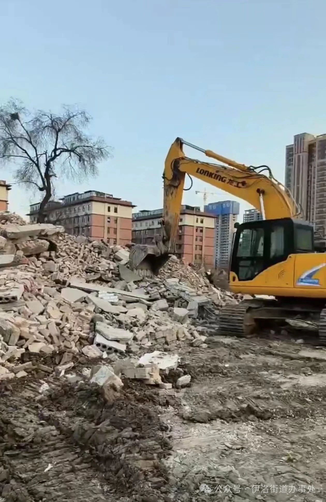 微信图片_20240218084632.jpg