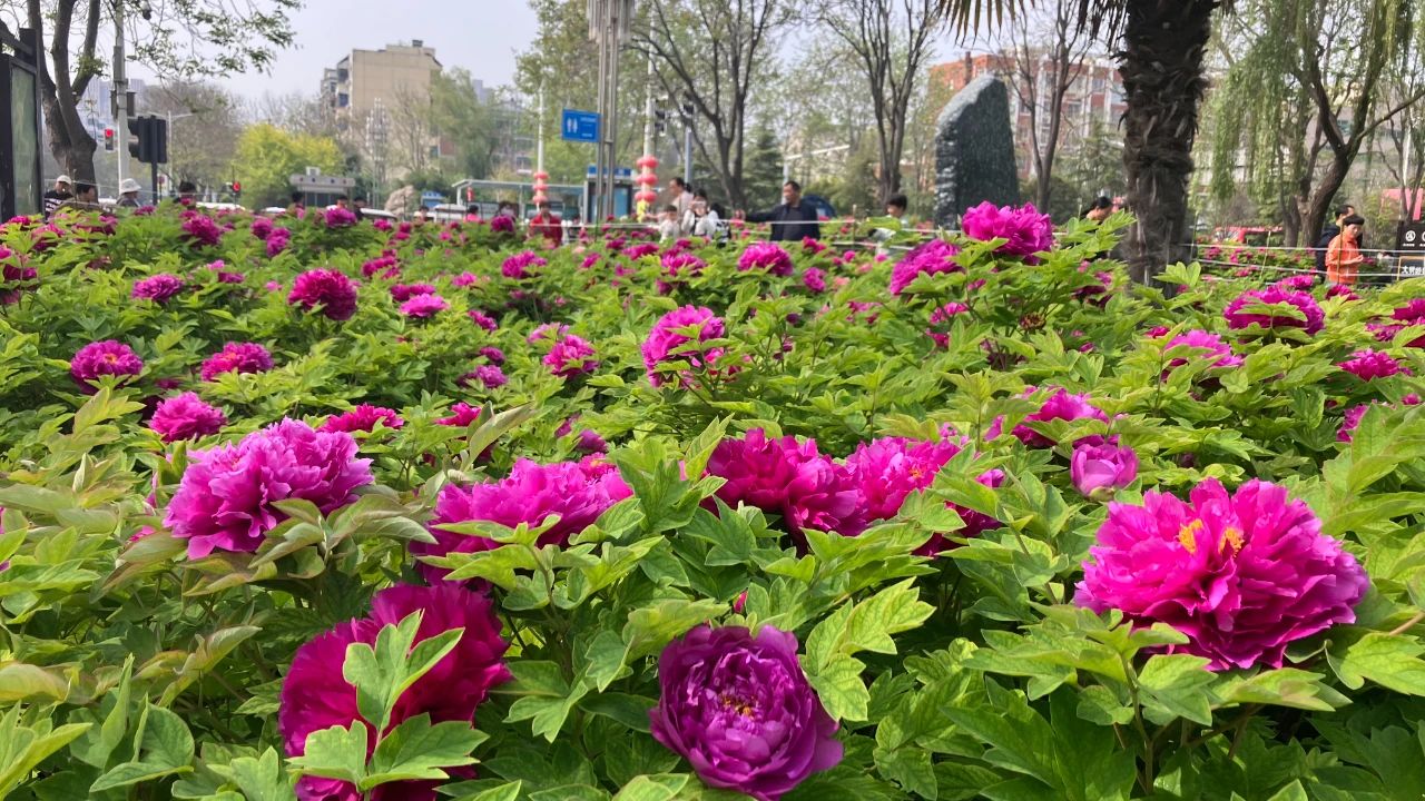 微信图片_20240408102755.jpg