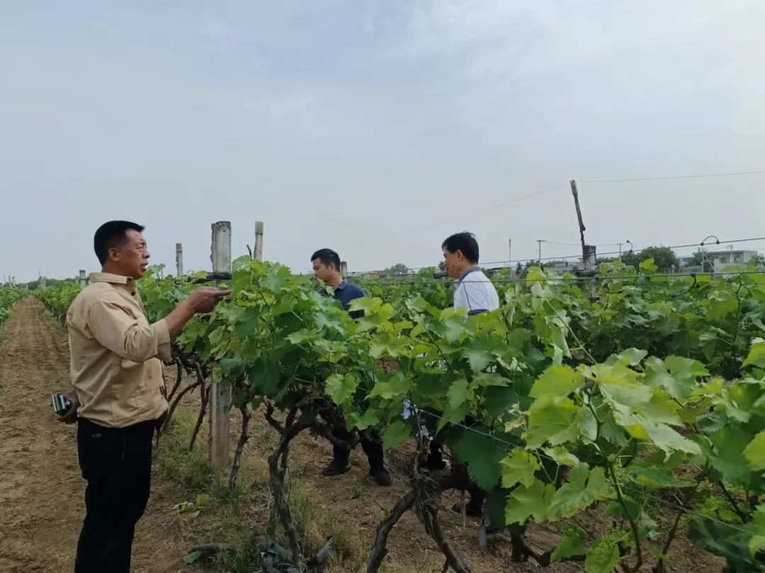 微信图片_20240520180128.jpg