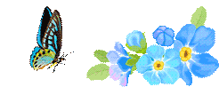 1721791285428247.gif