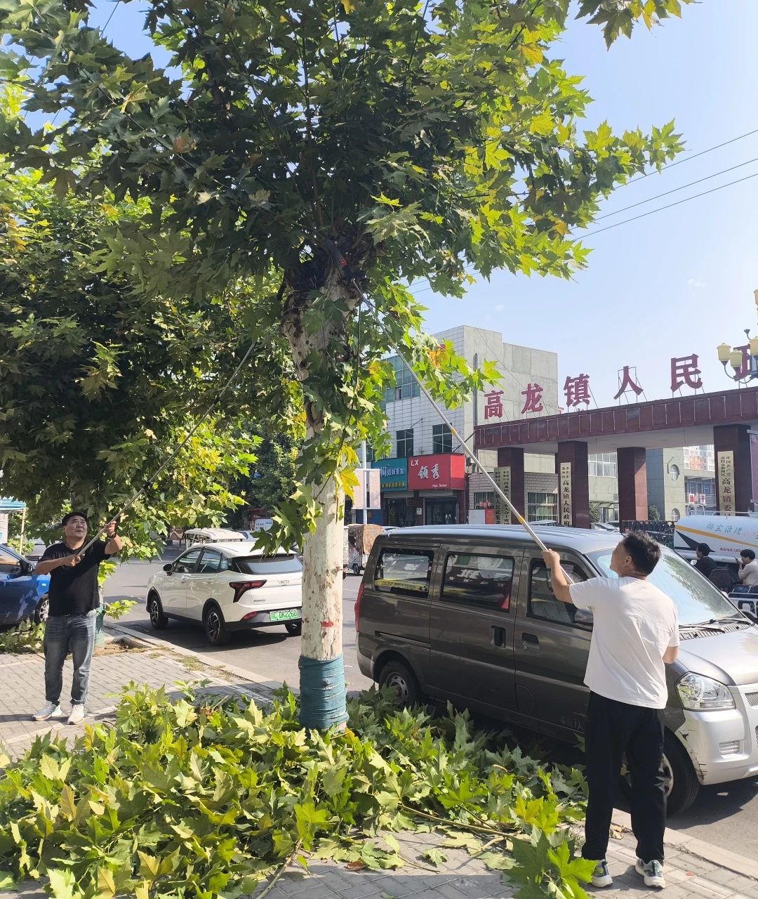 微信图片_20241009155148.jpg