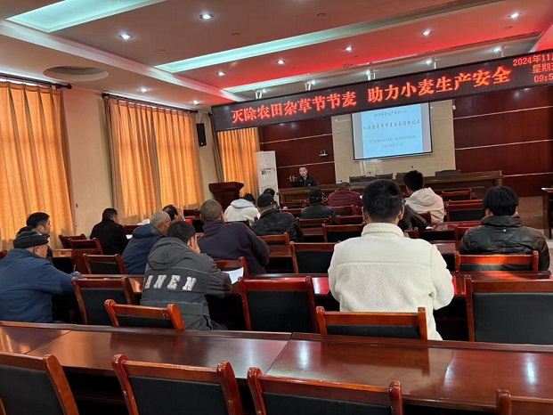 图片2.jpg